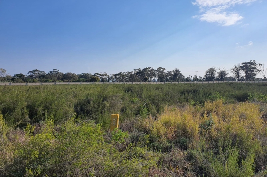 0 Bedroom Property for Sale in Greenbushes Eastern Cape